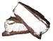 Gourmet Food : Milk Chocolate Dipped Marshmallow, 1/2 lb Box