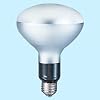 �ʐ^�Ɩ��p�A�C�����v PRF500W