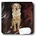 golden_retriever19golden retriever - Dogs Golden Retriever Golden Retriever Mouse Pads