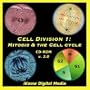 Cell Division 1: Mitosis & the Cell Cycle