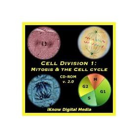 Cell Division 1: Mitosis & the Cell Cycle