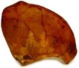 Pet Supplies : Ranch Reward Pig Ears