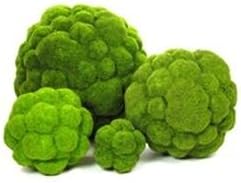 Set of Decorative Woodland Moss Balls