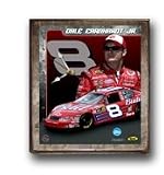 Dale Earnhardt Jr. #8 Bud Clock