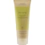 Aveda  Be Curly Enhancer, 6.7-Ounce Tube