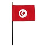Tunisia Flag 4 x 6 inch