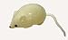 All Products : Smash-It Stress Relief White Mouse Splatter Water Toy