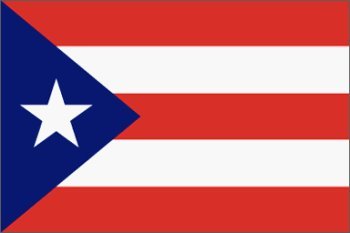 Buy Puerto Rico Flag Polyester 2 ft. x 3 ft.