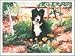 Border Collie in Flowers Notecards