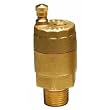 Watts Water Technologies 0950106-FV-4M1-1/8 Automatic Air Vent Valve