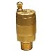 Watts Brass & Tubular #FV-4M1 1/8 1/8" Auto Vent Valve [Misc.]