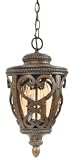 French Quarter 19 High Outdoor Hanging Light