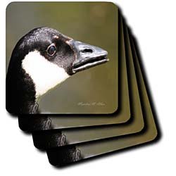 Canada Goose - Bird Photography - Set Of 4 Ceramic Tile Coasters
