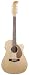Fender® Villager 12-String Acoustic Electric Guitar - Natural
