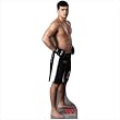 Lyoto Machida Cardboard Stand