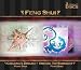 Feng Shui: Chakra's Dream/Voyage to Harmony