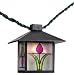 Primal Lite 836684 Patio Lites Prairie Lantern with Tulip Miniature Party Light