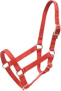 Abetta Miniature Horse Halter