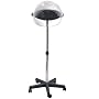 BaByliss Thermal Ionic Hard Hat Dryer