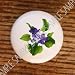 RHODE ISLAND COMMON BLUE VIOLET DRAWER PULLS KNOBS