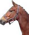 Pagony Tiger halter - Pony black-ice blue