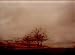 Todd Hido: Roaming Landscape Photographs