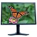 Electronics : Lacie 526 Color Accurate Mon+hood+soft