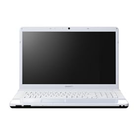 Sony VAIO EF3E1E 17.3 inch Laptop (AMD Athlon Dual Core P340 2.2GHz, 4Gb, 320Gb, DVDSM, WLAN, Webcam, Win 7 Home Premium)