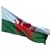 5FT X 3FT YNYS MONS WELSH NATIONAL FLAG