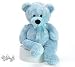 Brian Bear