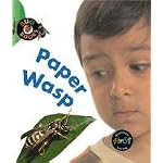 Paper Wasp (Bug Books) book cover