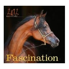 Fascination 2012 Kalender