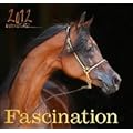 Fascination 2012 Kalender