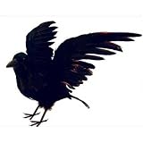 Artificial Large Life Size Black Feather Flying Crow for Halloween Decorating