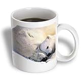 Wild animals - Polar Bear and Cub - Mugs
