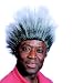 Search : Boxing Promoter Grey Wig