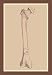 The Skeleton #2 12x18 Giclee on canvas
