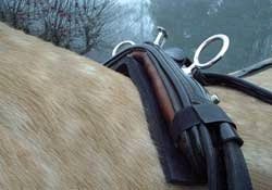 Cashel Harness Pad 4x28