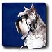 schnauzer20  - Dogs Schnauzer Schnauzer Mouse Pads