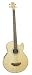Signature Music Acoustic Electric Bass Guitar Brand New 090MPEQ4