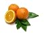 Navel Oranges - 24