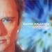 David Hallyday-Revelation