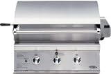 DCS BGB30BQR 30 in Professional Built-In Grill with Rotisserie - BGB30-BQR