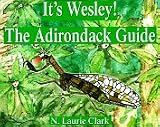 It's Wesley! the Adirondack Guide: The Adirondack Guide
