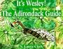 It's Wesley! the Adirondack Guide: The Adirondack Guide