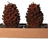 Pine Cone Wax Candles 3.5 2-pc Set