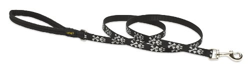 Lupine 1/2-Inch Lil' Bling 6-Feet Dog Lead