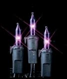 Review Everstar  / Set Of 50 Random Twinkling Purple Halloween Lights #ES65-503