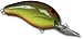 Bandit Crank 200-Series 2-Inch Chartreuse Rootbeer 4 to 8-Feet Deep Bait (Brown)