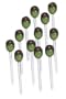 Boston Warehouse Acrylic Olive Pick, Set of 12